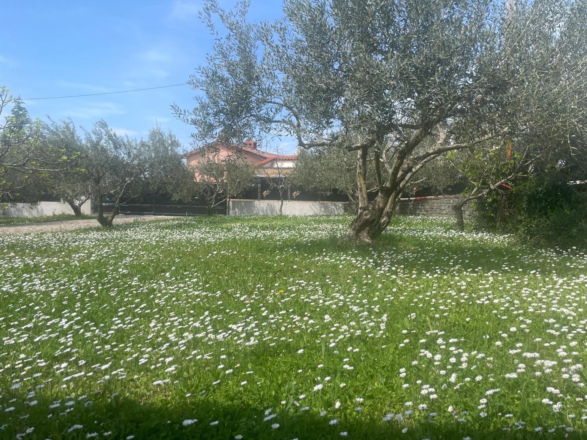 Paradise Villas With Swimming Pool Koper Eksteriør billede